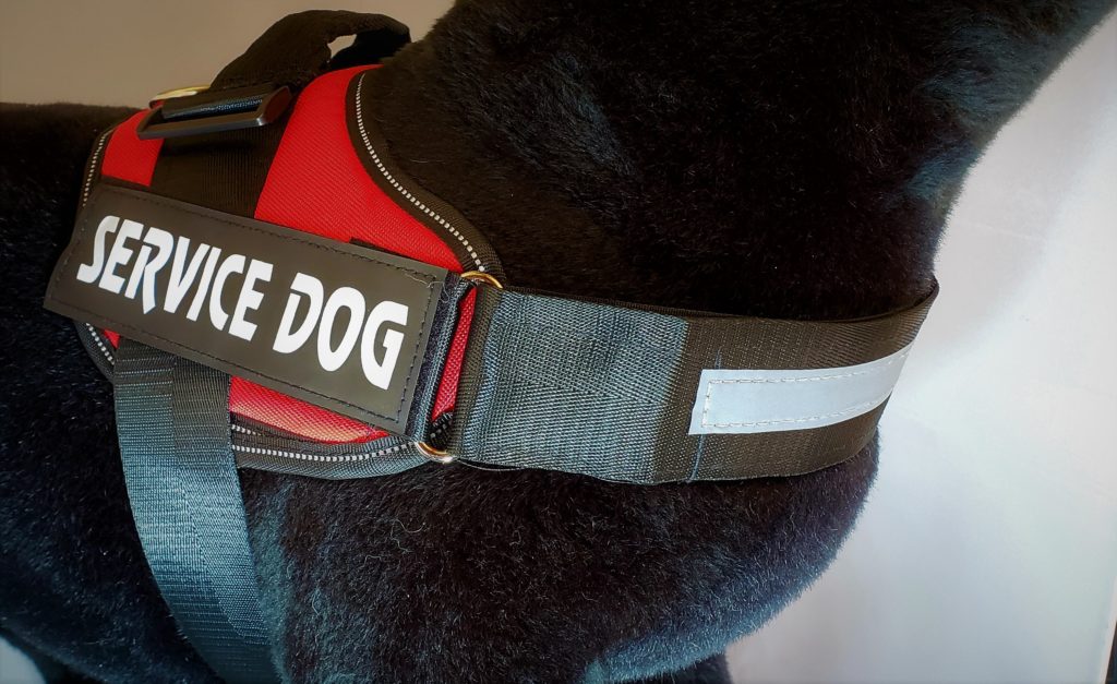 Service Dog Vests Service Dog Direct